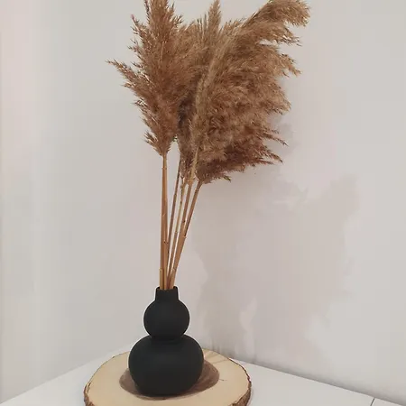 Vacation Liberation Split