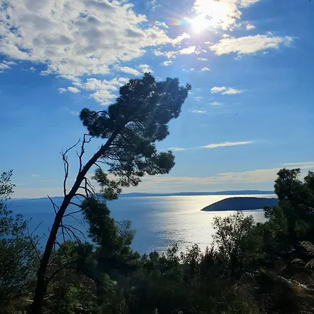 Vacation Liberation Lejlighed *