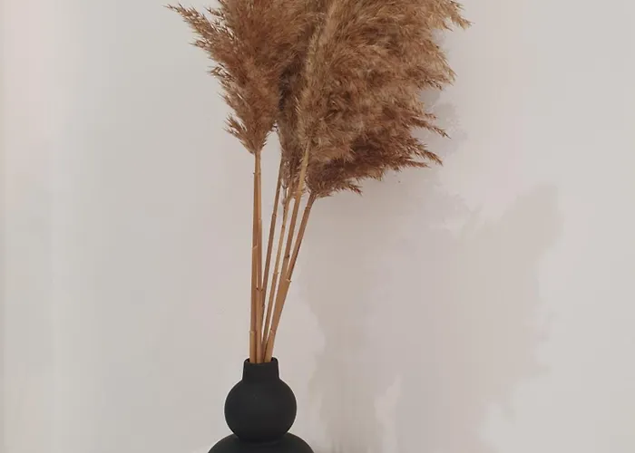 Vacation Liberation 스플리트